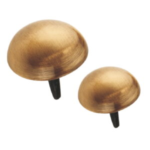 Brass Nails